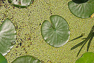 《STONKS-9800》Steam新史低促销 好评如潮！